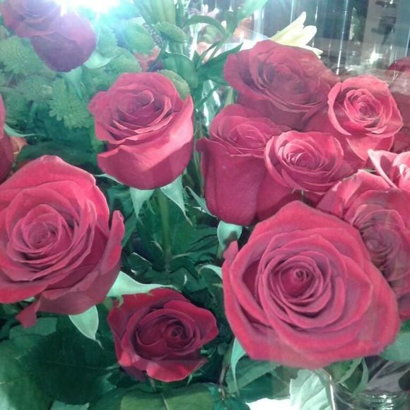 Meet your Posher, Rozovy - Picture 1 of 1